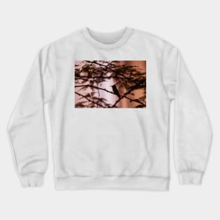 Hummingbird Sunset Crewneck Sweatshirt